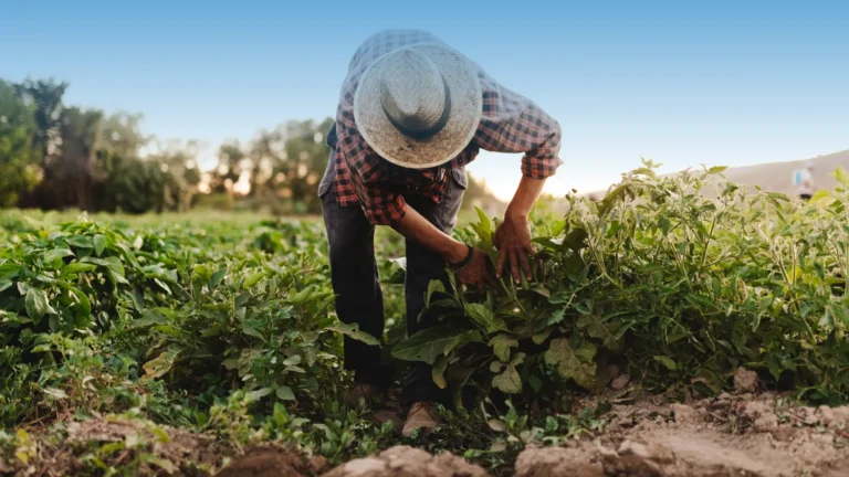 Creación de riqueza productiva en América Latina