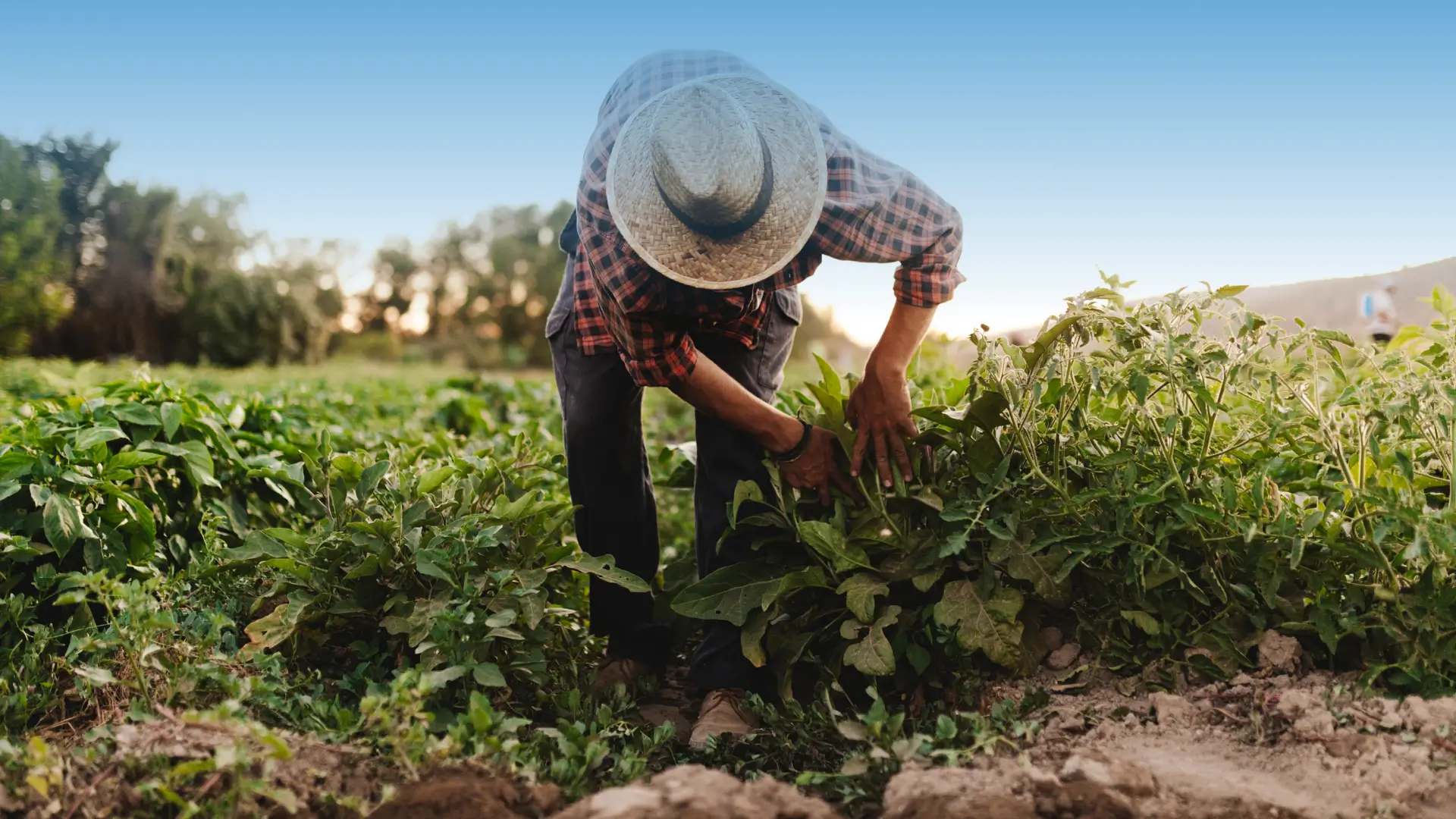 Creación de riqueza productiva en América Latina