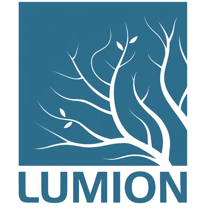 Lumion – Suscripción Anual